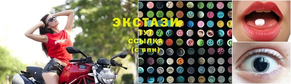 прущие грибы Верея