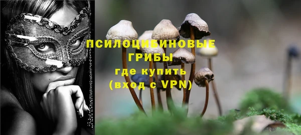 стаф Верхний Тагил
