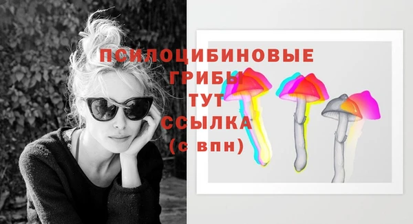 прущие грибы Верея
