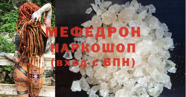 прущие грибы Верея