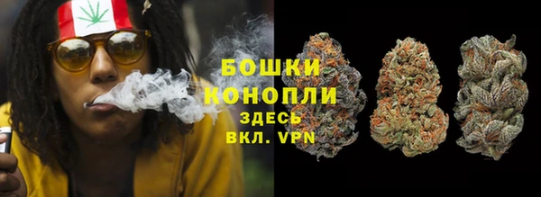 прущие грибы Верея