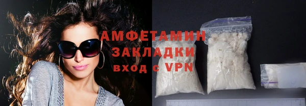прущие грибы Верея