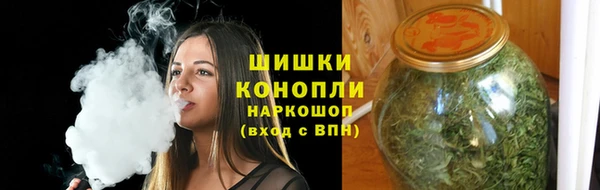 прущие грибы Верея