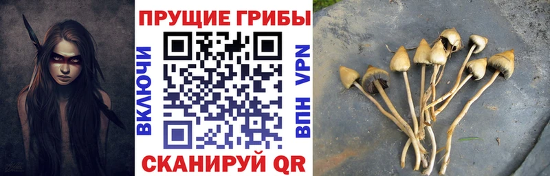 Галлюциногенные грибы мицелий  МЕГА как зайти  Кострома  закладка 