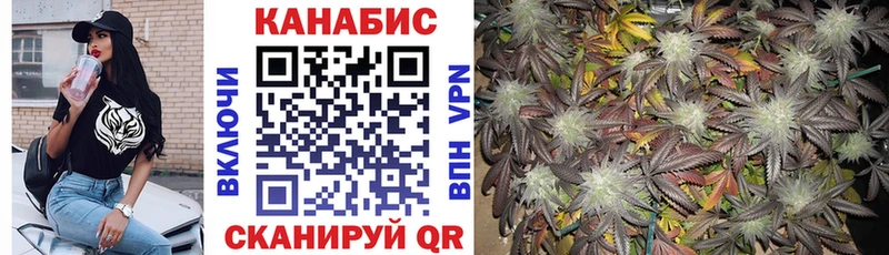Конопля планчик  Кострома 